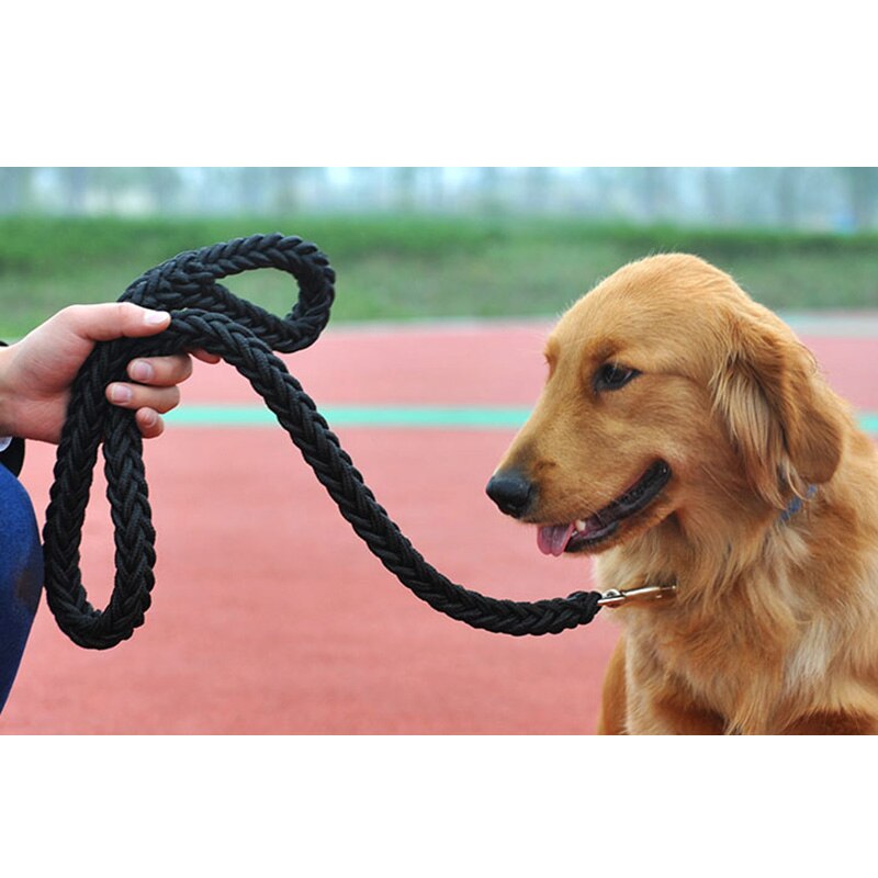 Hondenriem Halsbanden Huisdier Aangelijnd Hond Accessoires Huisdieren Sterke Touw Comfortabele Producten Voor Hond Acht-Strand M/L/Xl