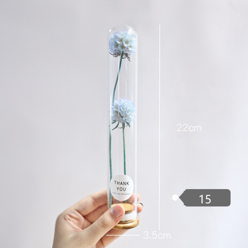 Dried Flower Glass Test Tube Decorations Family Living Room Study Specimens Ornaments: 15