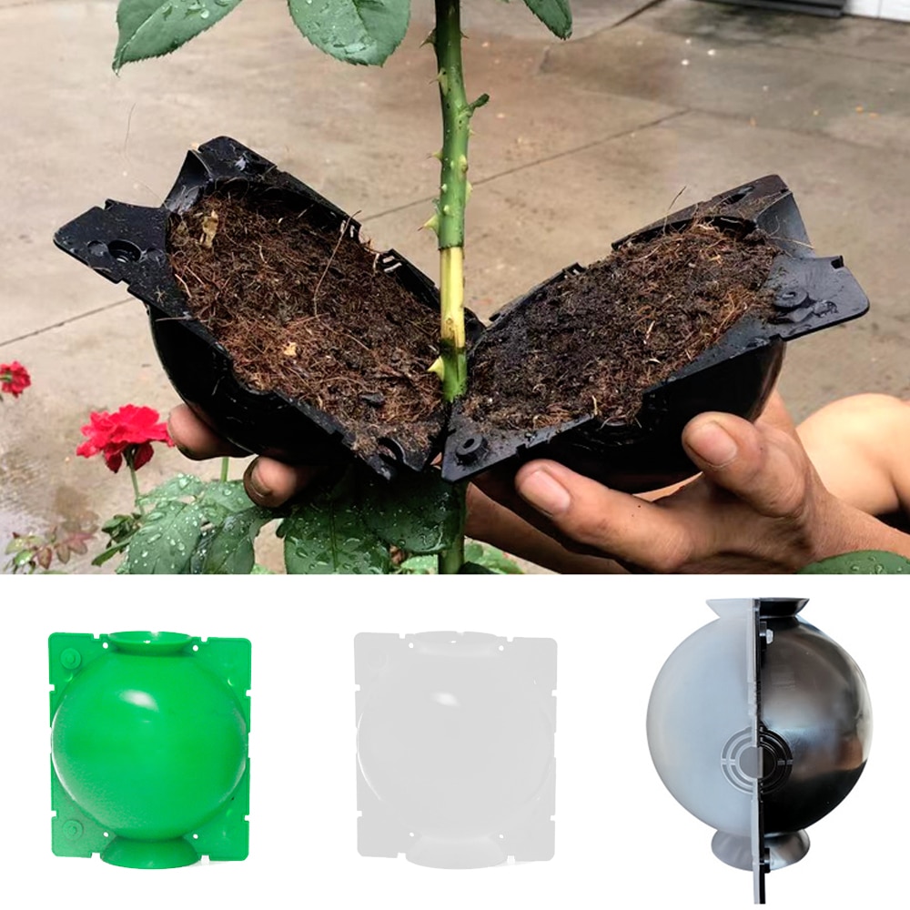 Planterotning kugotransplantation rodning voksende kasse avlskasse plante roddyrkningskasse til have 5/8cm i diameter