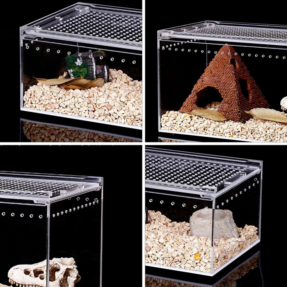Nido de reptiles acrílico duradero, caja de alimentación práctica, suministros para reptiles, nido para cría de árboles, Rana, lagarto, camaleón, 1 unidad