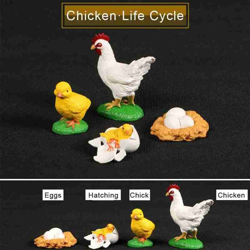 1 Set simulazione animali modello ciclo di vita giocattolo cognitivo rane/tartaruga/formica/zanzara/pollo modello ciclo di crescita giocattolo di educazione precoce