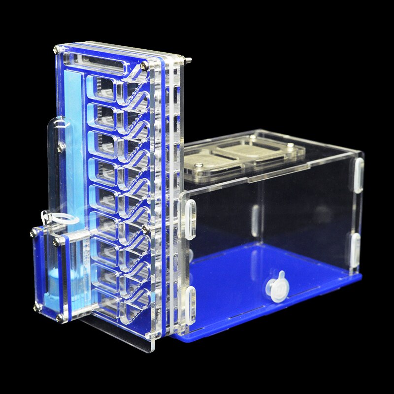 DIY Acrylic Ant Farm with Feeding Area Multi-layered Ant Nest Ant House for Pet Anthill Workshop Villa Insect Box 19*16*8.5cm