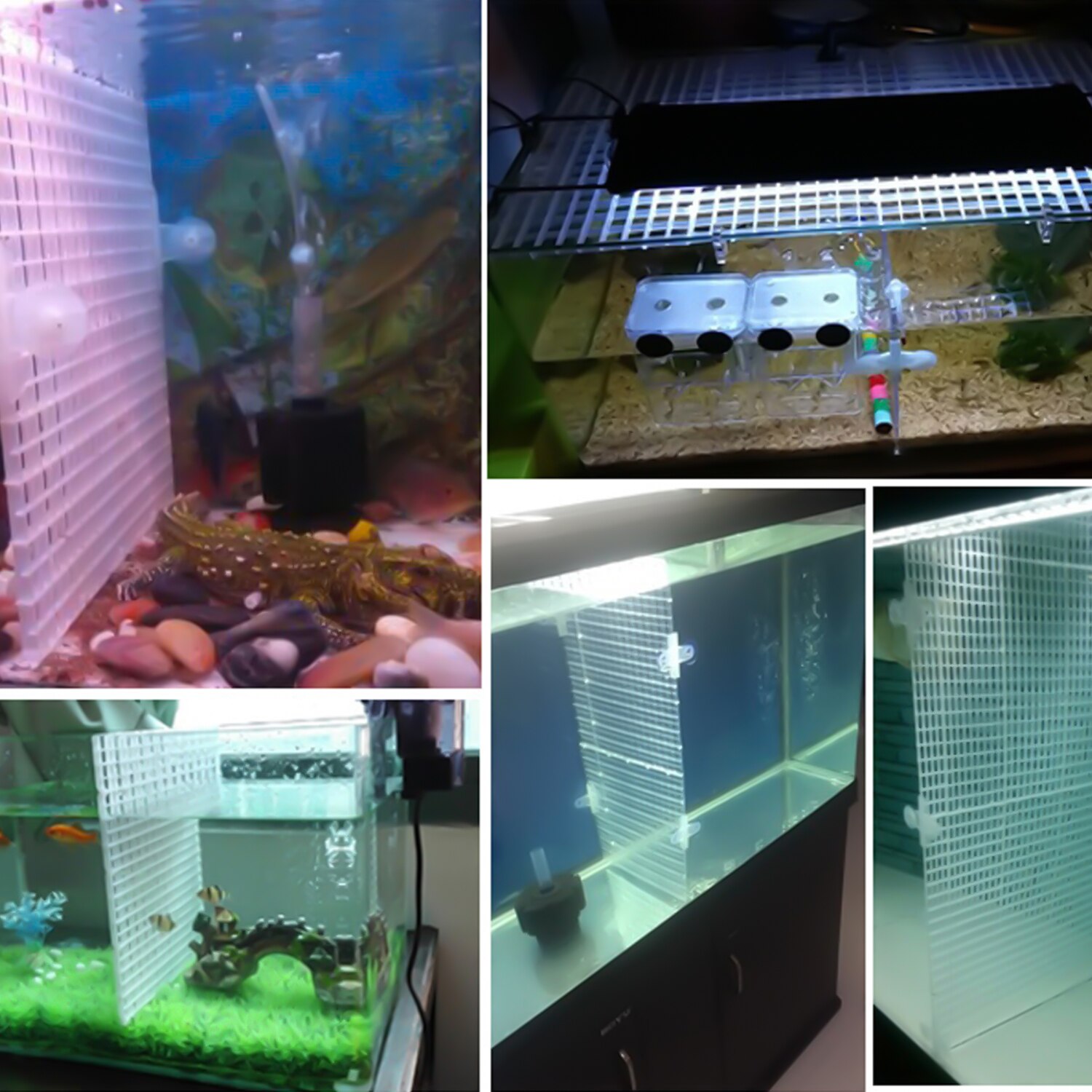 Akvarie akvarium plast adskillelse skillebræt yngel segregation avlsnet med 4 stk sugekopper 30 x 30cm