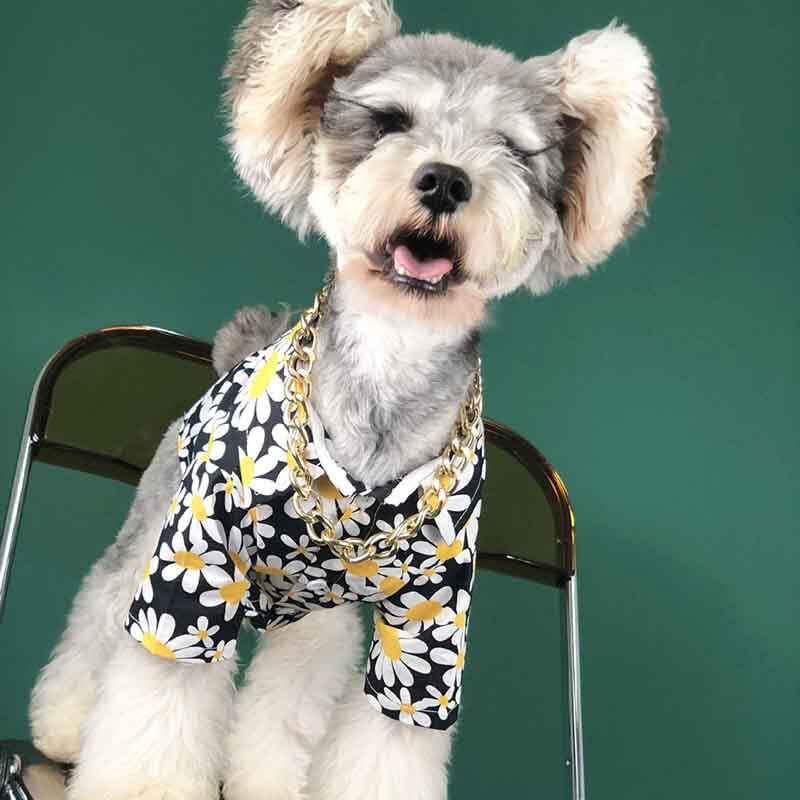Hundetøj sommer tyndt snit net rød med samme afsnit krysantemum skjorte fransk bulldog bamse schnauzer corgi kæledyr ud