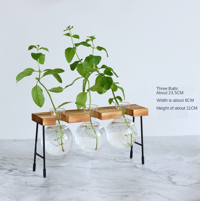 Florero de vidrio para plantas hidropónicas, marco de madera para cafetería, jarrón de decoración, terrario, bonsái para el hogar, estación de decoración: C