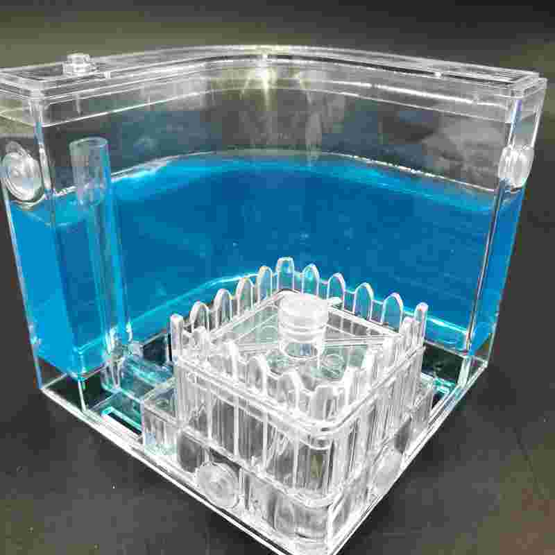 Authentic Ant farm Birthday pet villa Home queen ants workshop from mail Ant farm