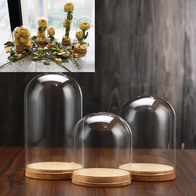 5pcs Clear glass display dome with wood base Display Stand dry flower plant Box for bedroom living room office decor Display