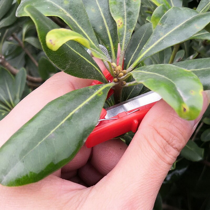 Haven tommelfinger kniv høstværktøj plante frugt grøntsag plukkekniv sikker kniv frugtblad værktøj beskyttende fingerringe