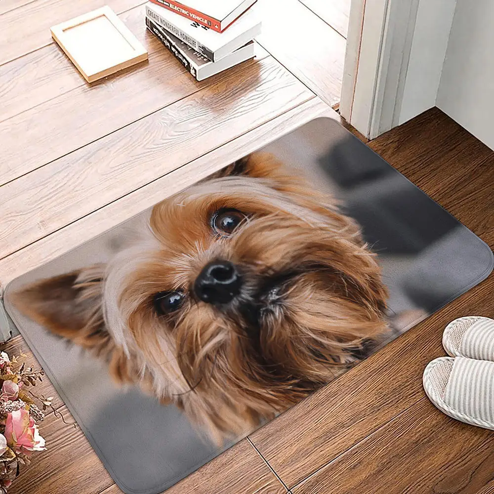 Bedroom Balcony Non-Slip Rug Entrance Door Mat Floor Dog Funny Pug Schnauzer Kitchen Living Room: 1 m2 / PURPLE