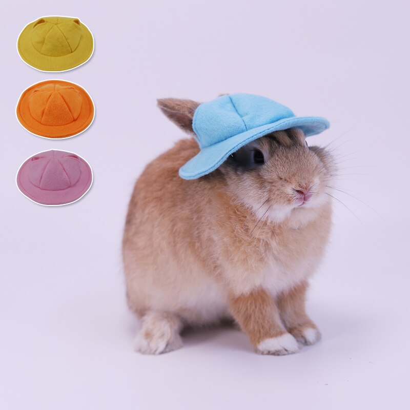 Casquette pour petits animaux, chapeau, vêtements pour animaux de compagnie, accessoires pour cochon d'inde, lapin, écureuil, Hamster, Rat, souris