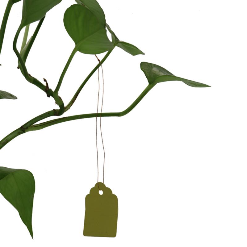 100pcs Plants Hang Tag Labels And Brands Seedling Garden Flower Pot Plastic Tag Number Plate Hanging Reusable