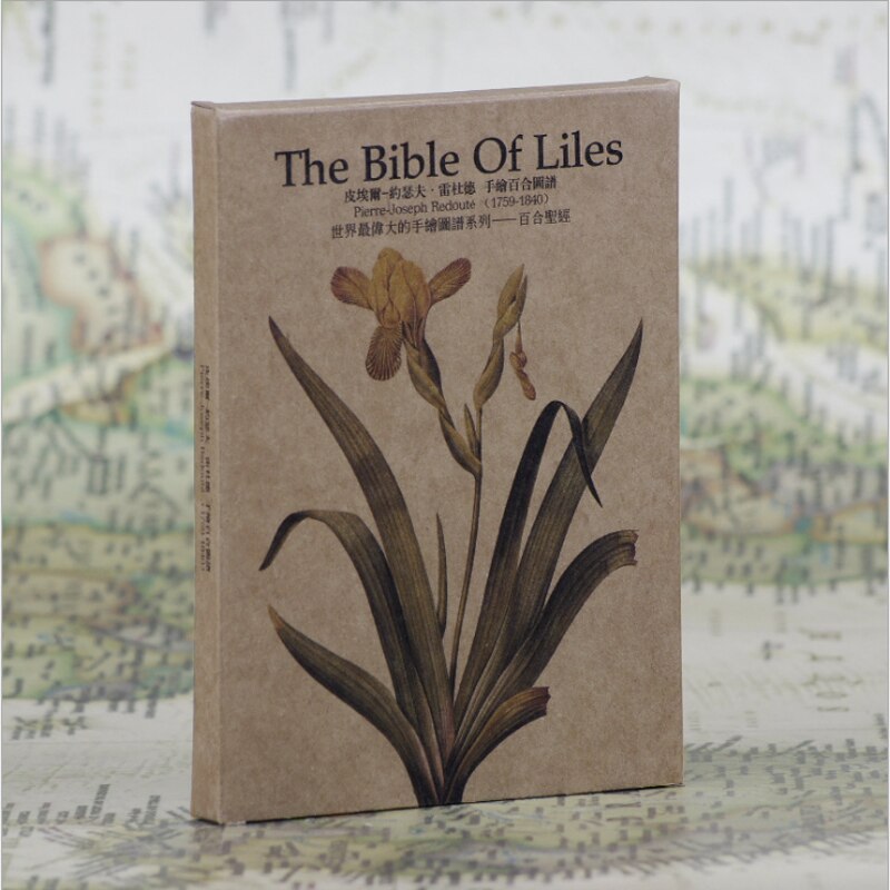 1pack Vintage postcard flower series card Post office mail stationery supplies Christmas goods 14.5*10.5CM: Lily Bible