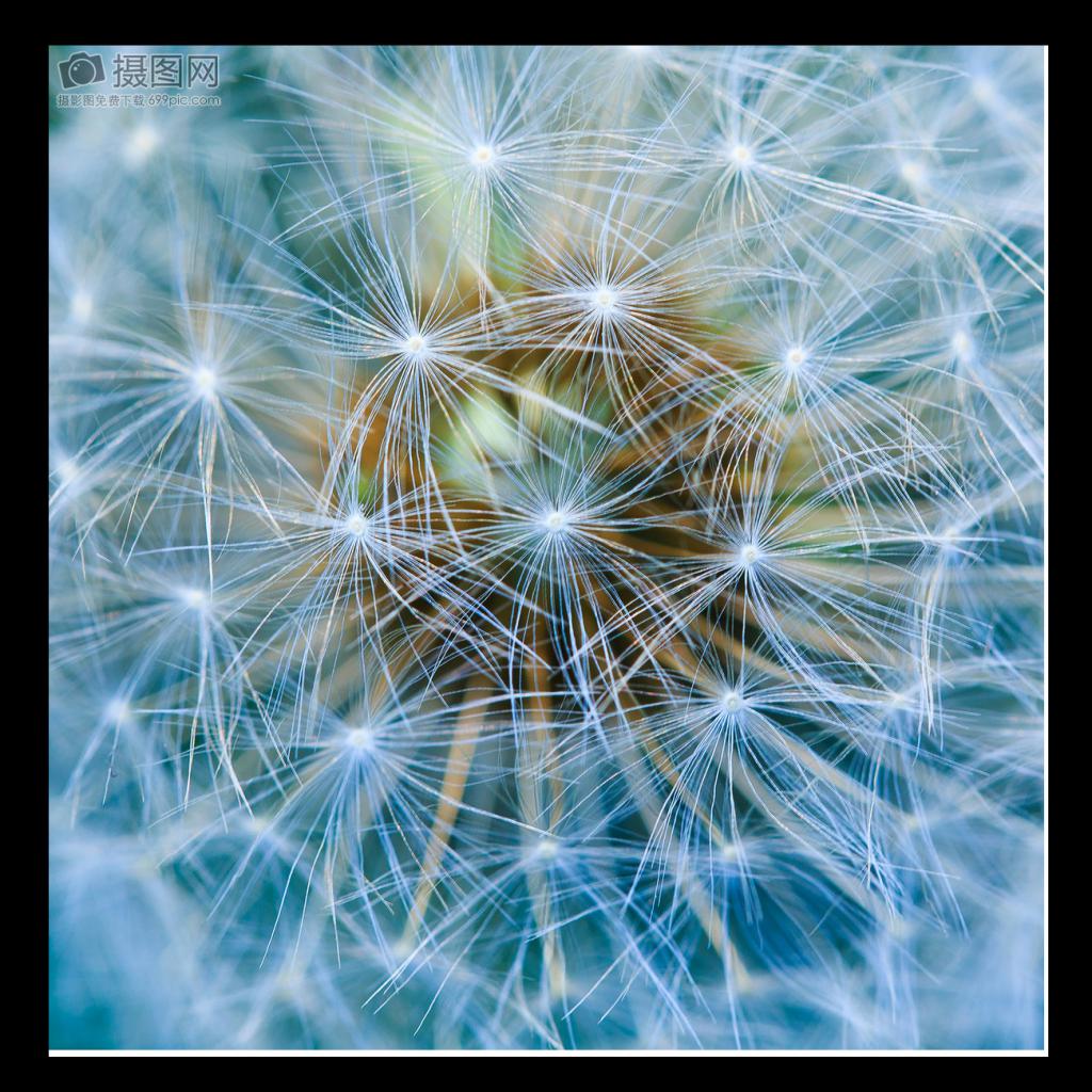 4x Rvs Boot Hand Rail 60 Graden Tee Fittingen Hardware 7/8 "Buis