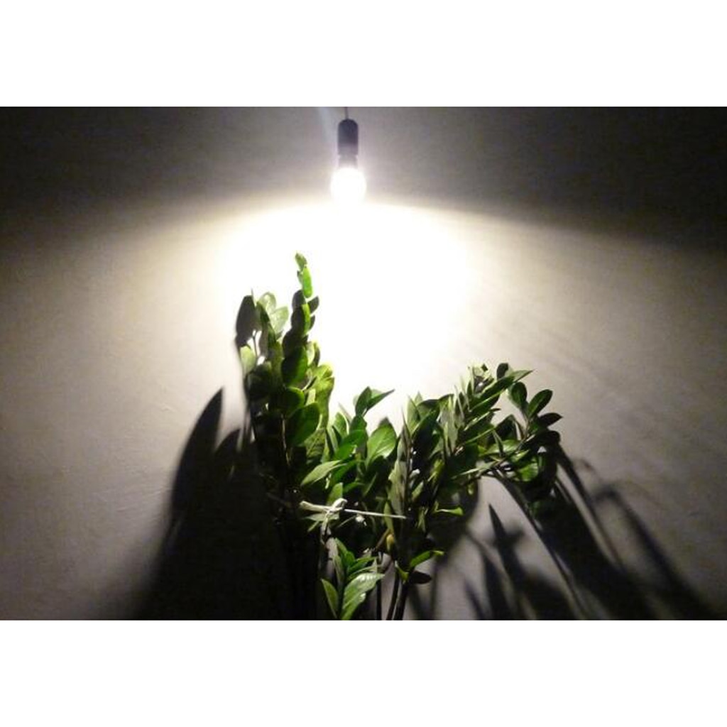 Natural Light /White/Warm White Led Plant Light Bulb Flower Grow Greenhouse For Seed Plants Vegetables 12W E27