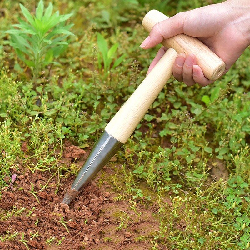 Havehulstansværktøj plantefrø træhåndtag holdbart praktisk værktøj til såning af rustfrit stål til befrugtning