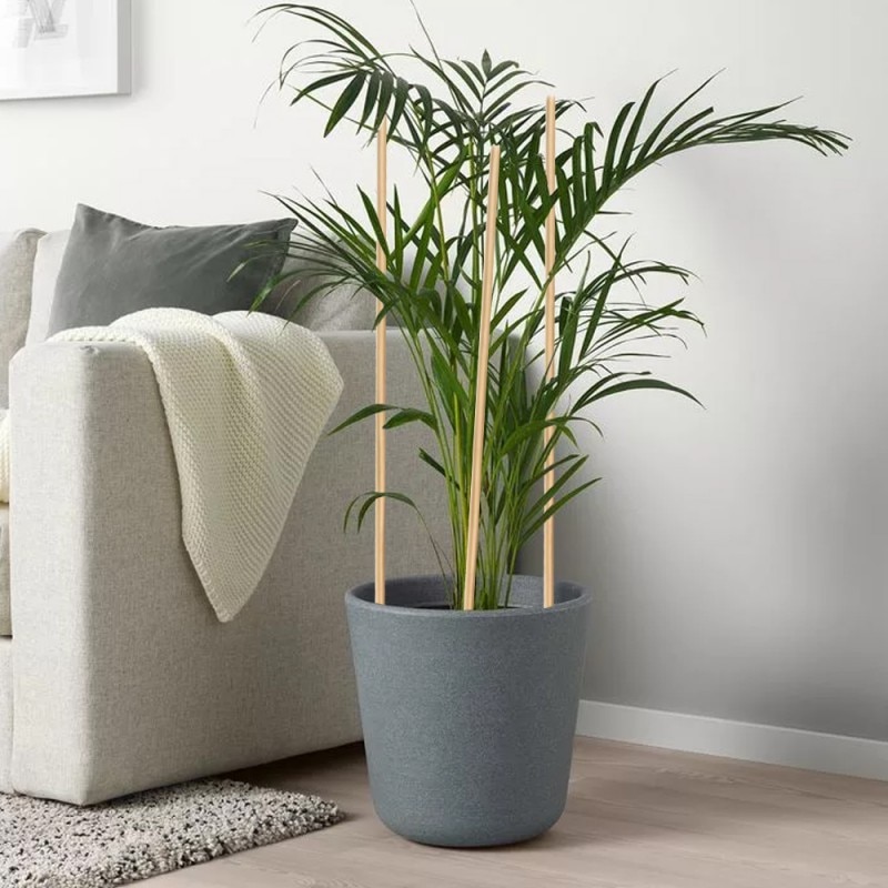 50pcs Wooden Bamboo Plant Sticks Stakes Flower Vegetables Plant Support Rods Tree Climbing Support Plant Pot Garden Bonsai Tool