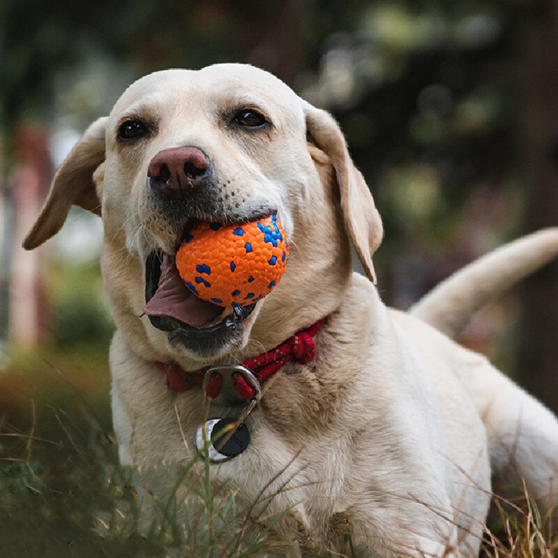 Interactieve Hond Speelgoed Bal Speelgoed Voor Kleine Grote Honden Agressieve Kauwers Oefening Bal Speelgoed Voor Hond Training Accessoires Voor Honden