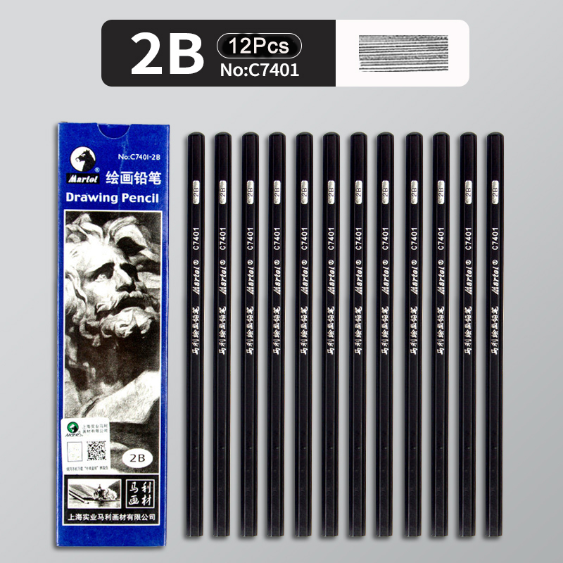 12Pcs 2H HB B 2B 3B 4B 5B 6B 7B 8B 12B 14B Sketch Drawing Graphite Shading Charcoal Pencils Set Sketching for Artists Beginners: Yellow