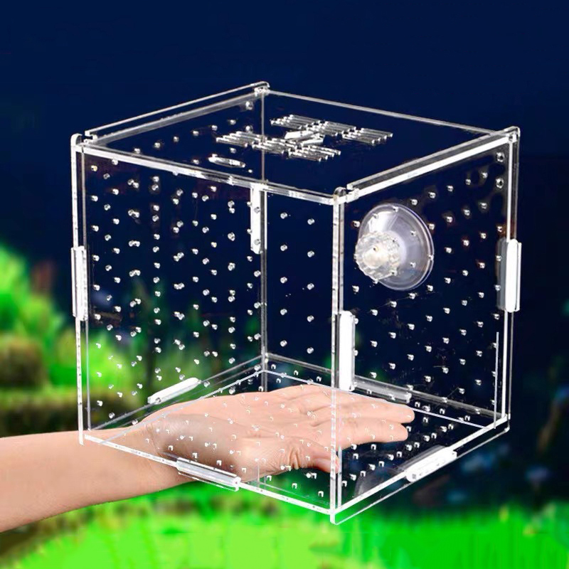 Aquarium boîte d'isolement boîte d'élevage de poissons acrylique boîte d'élevage boîte d'isolement incubateur de poissons diviseur accessoires d'aquarium fournitures de poisson