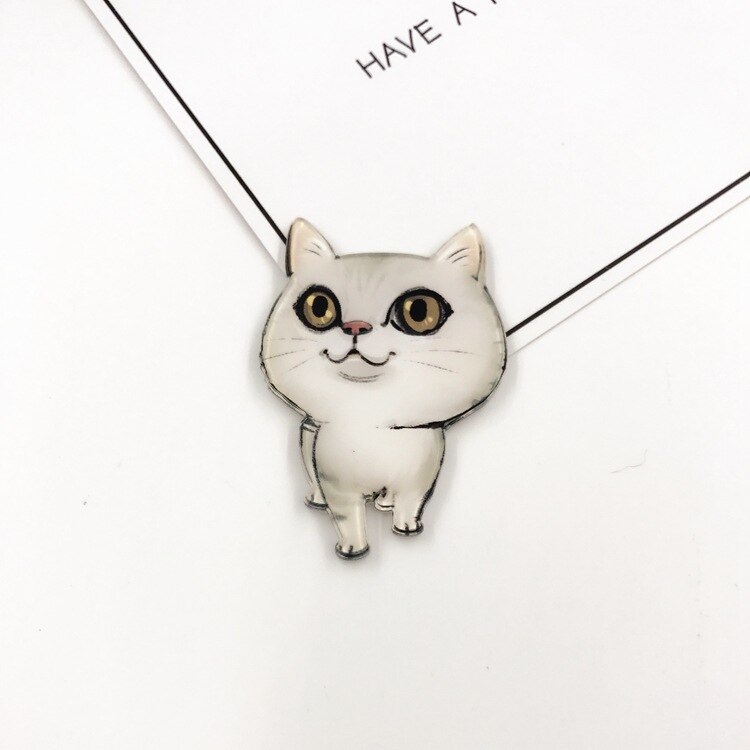 1Pcs Leuke Hond Cartoon Mode Broche Acryl Badge Kat Icoon Badge Pin Voor Kids Party Decoratie op Zak Kleding: Transparant