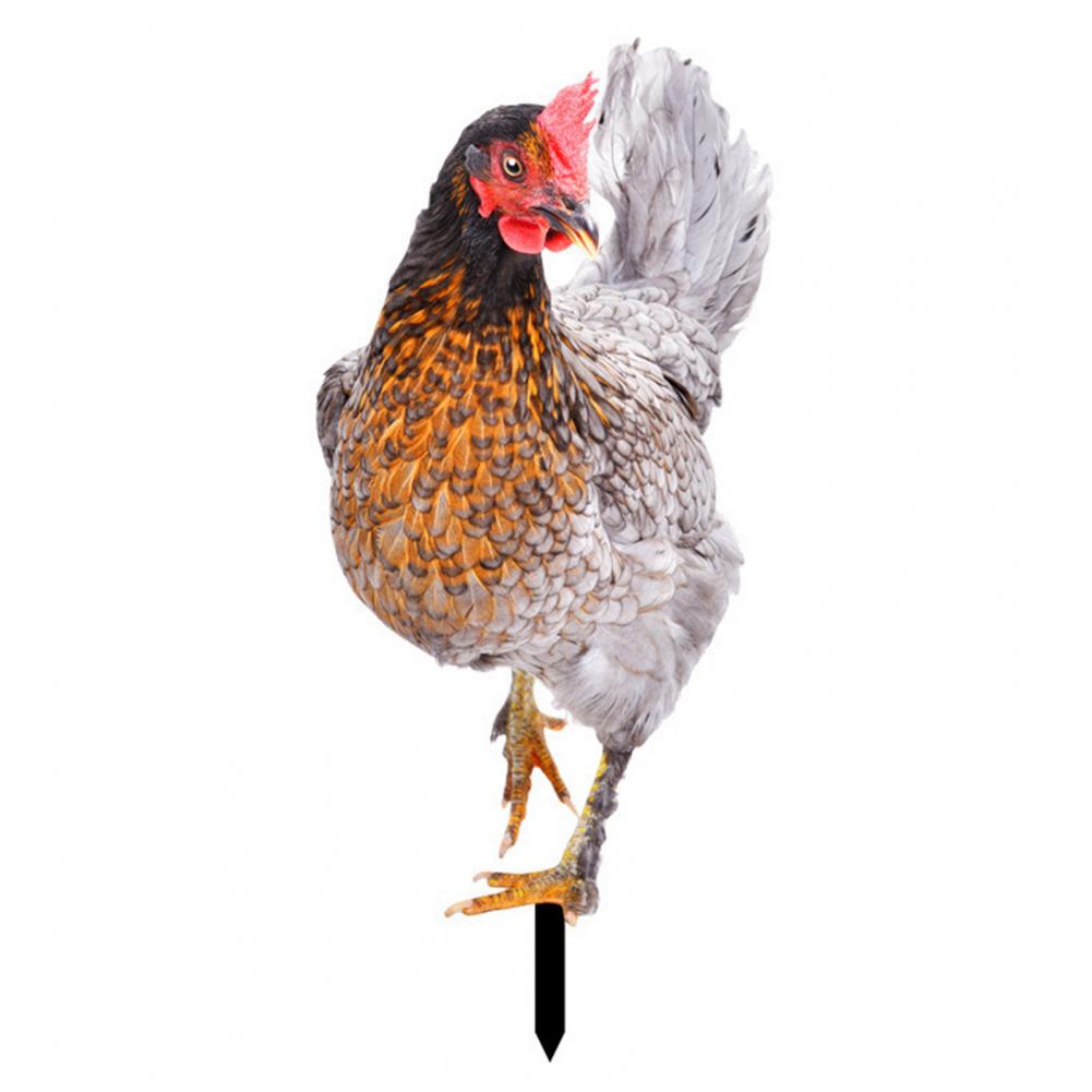 Ornamental Eco-friendly Rooster Decor Garden Statue Chicken for Garden