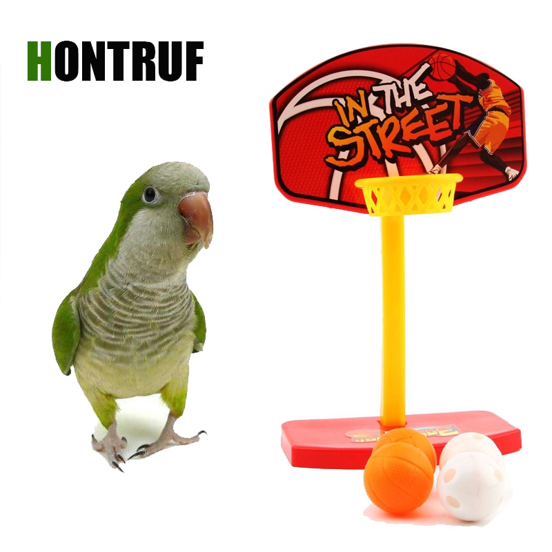 Parrot puzzle training intellectual development toy parrot shooting toy bite ball mini basketball basket desktop toy