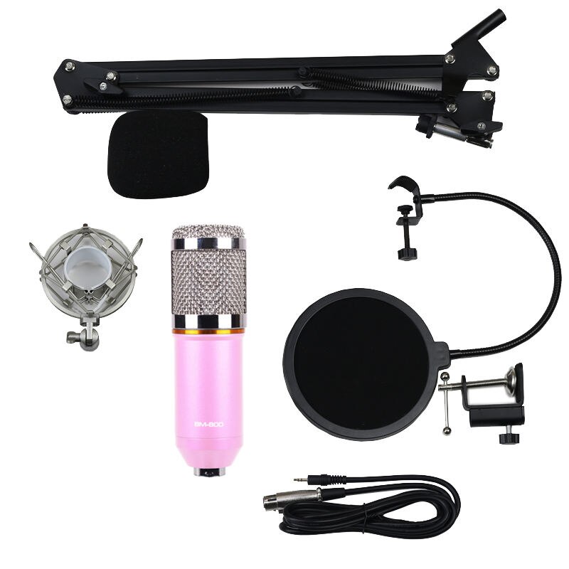 Studio Vocal Recording with BM800 Condenser Microphone with Kit