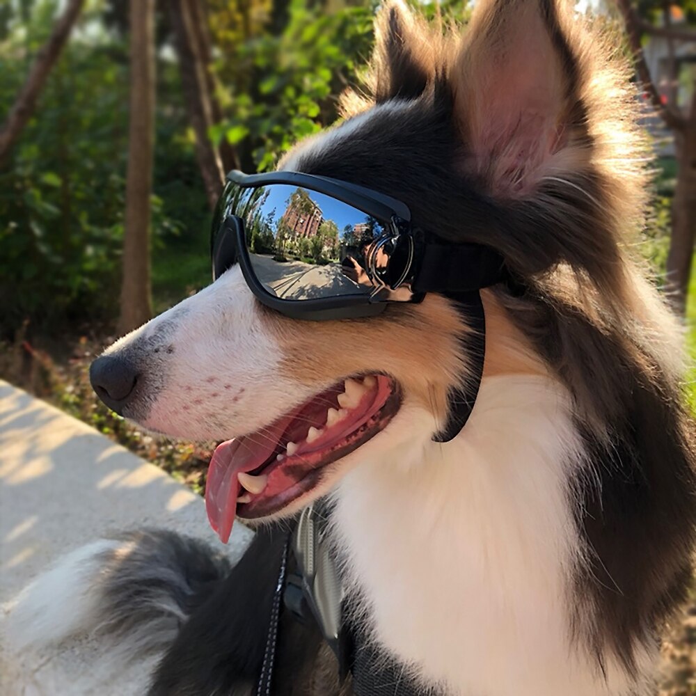 Skydd små dogglar hundsolglasögon sällskapsdjur skyddsglasögon uv skydda solglasögon ögonkläder simning visa sällskapsdjur tyg tillbehör
