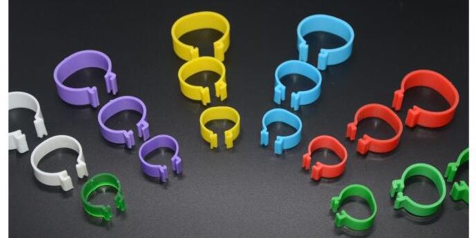 Anillos de pie de gallina y Paloma para pierna, palomas, aves de corral, pollitos, patos, loros, anillo de Clip, herramientas para codorniz, 1,6 cm, 1000 Uds.: The color is uniform