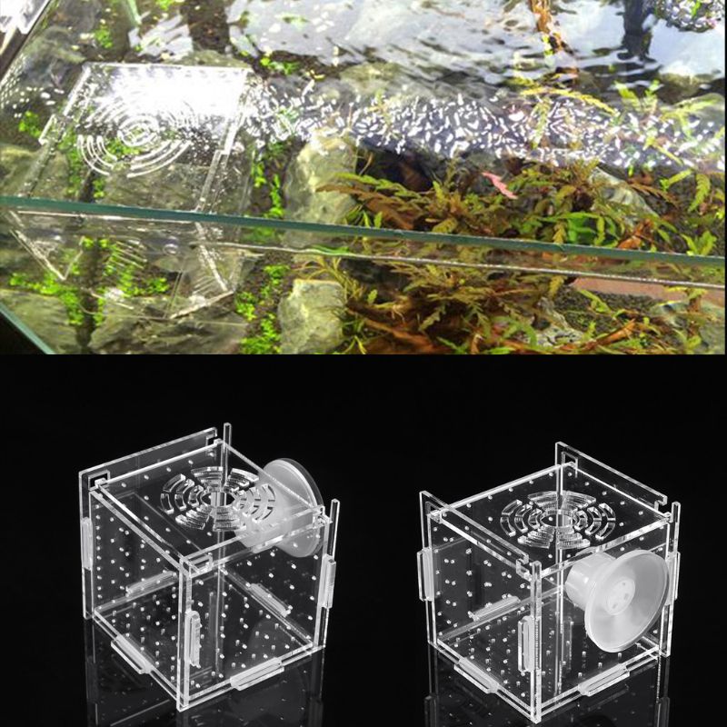Akvariefisk opdræt isolationsboks baby fisk inkubator luge opdrætter akvarium