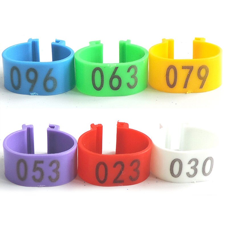 300pcs Inner Diameter 16mm 20mm Clip On Leg Band Rings Chickens Ducks Hens Poultry Pigeon Carry Ring With Text Parrot Leg Rings