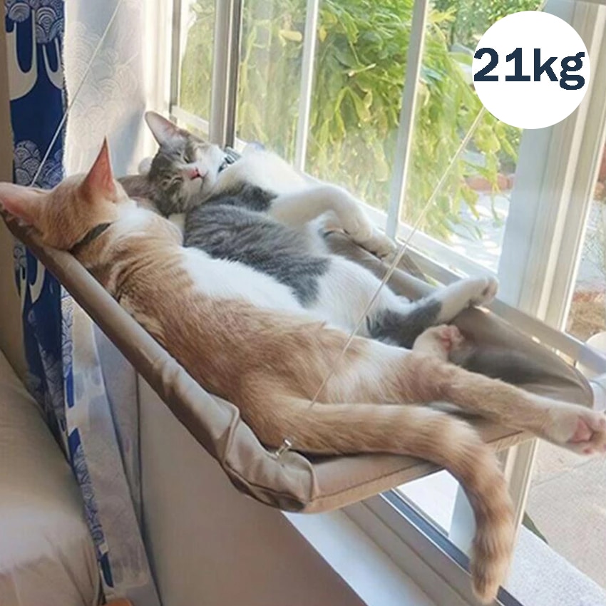 Katt hengekøye kjæledyr hengende senger med teppe katt vindu hengekøye solfylt vindu sete feste kjæledyr seng for katter små hunder med 20kg