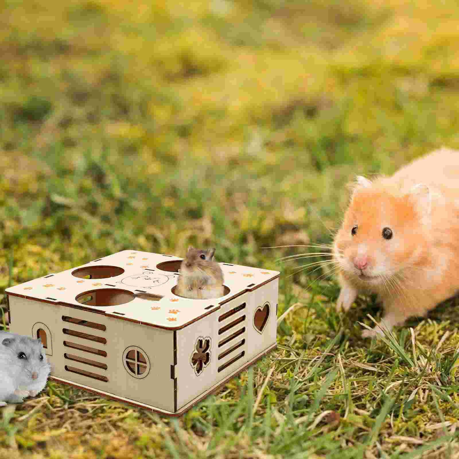 1Pc Hamster Labyrinth Natürliche Praktische dauerhaft Hamster Lustige Aktivität Liefert