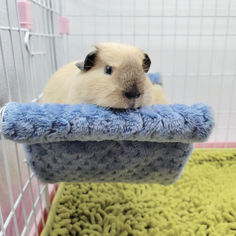 Hamac en peluche pour petits animaux de compagnie, sac de couchage pour hamster, accent d'animaux de compagnie, fournitures pour animaux de compagnie, accessoires de maison pour rat, SLaura rel conflicjos