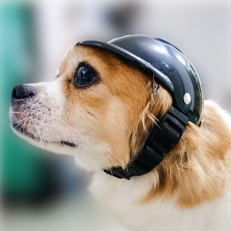 Hond Cap Motorhelm Huisdier Speelgoed Hoeden Duurzaam Comfortabele Zachte Zwart Veiligheid Verstelbare Honden Katten Hoofd Beschermende S/M huisdier Helm