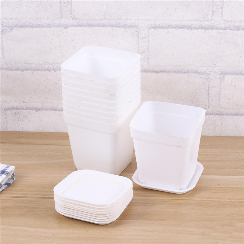 50 Macetas Cuadradas De Plástico De 5,5 Cm - Ideales Para Semillas, Esquejes Y Trasplantes
