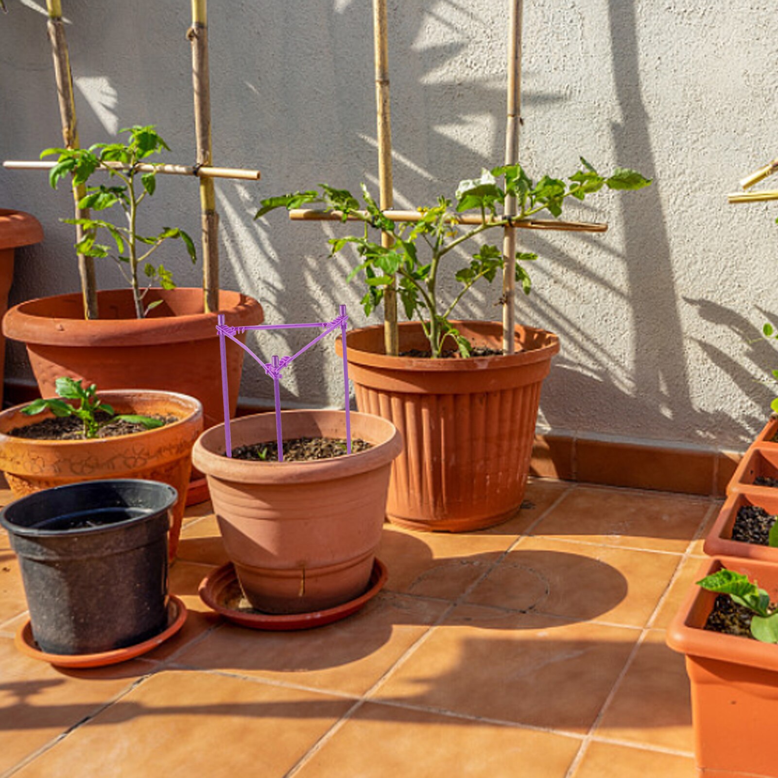 Plant Support Stakes For Indoor Plant Ergonomic Tomato Cages For Garden Adjustable Stake Arms Climbing Trellis Waterproof