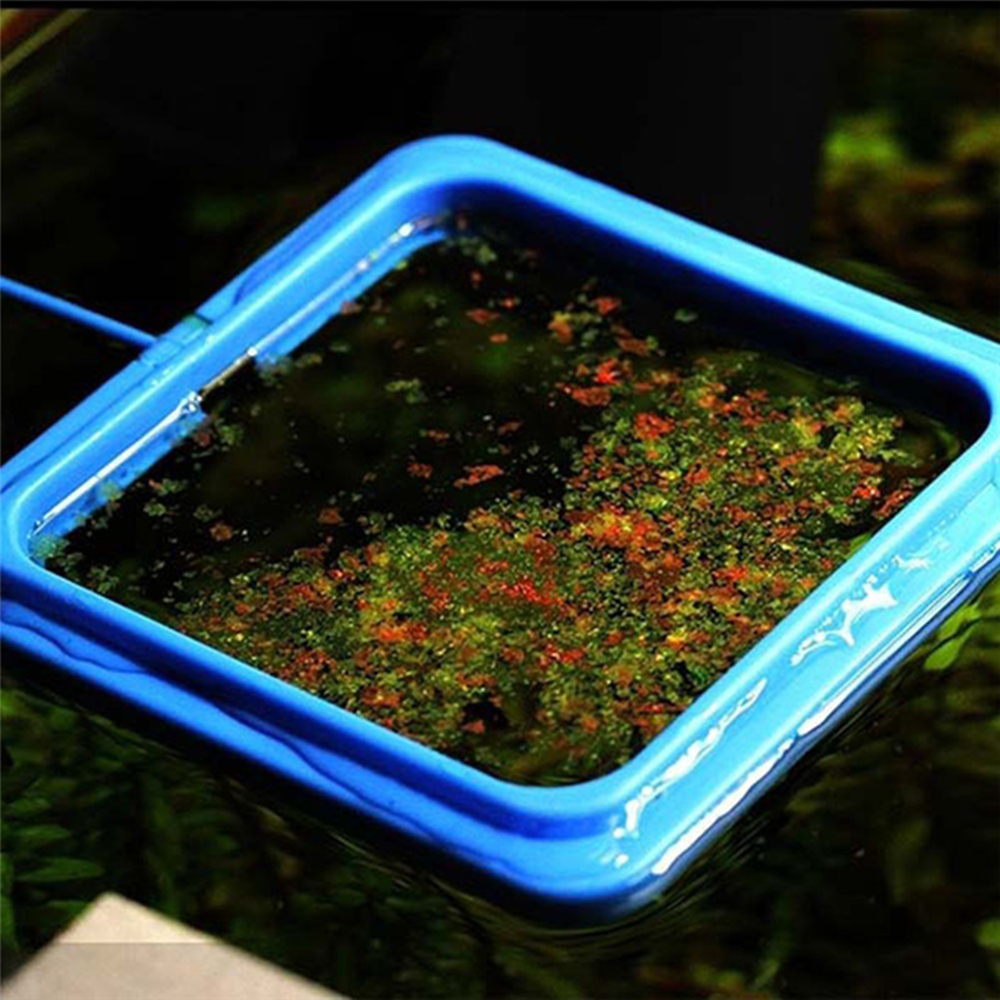 Aquarium Feeding Ring Fish Tank Station Floating Food Tray Feeder Square Circle Accessory Water Plant Buoyancy Suction Cup