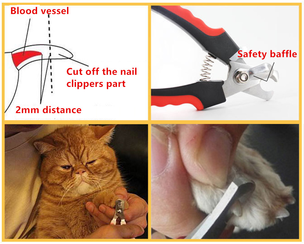 Neuer Nagelknipser für Hunde, Edelstahl, Nagelknipser für Haustiere, professioneller Nagelknipser, Katzenschere, Schneider, 1 Stück