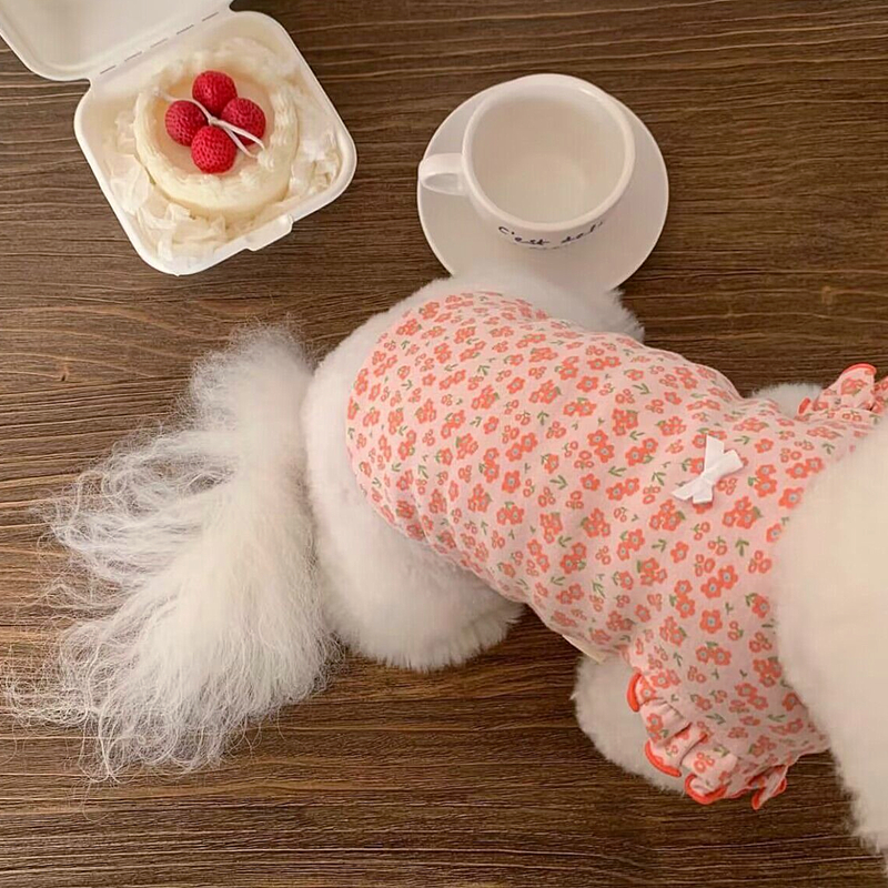 Colete para cães de estimação, roupas de verão para cachorros, fofo, floral, mangas voadoras, camiseta para cães, chihuahua, pug, bichon, gato, cachorro, roupas para meninas: XS / Branco