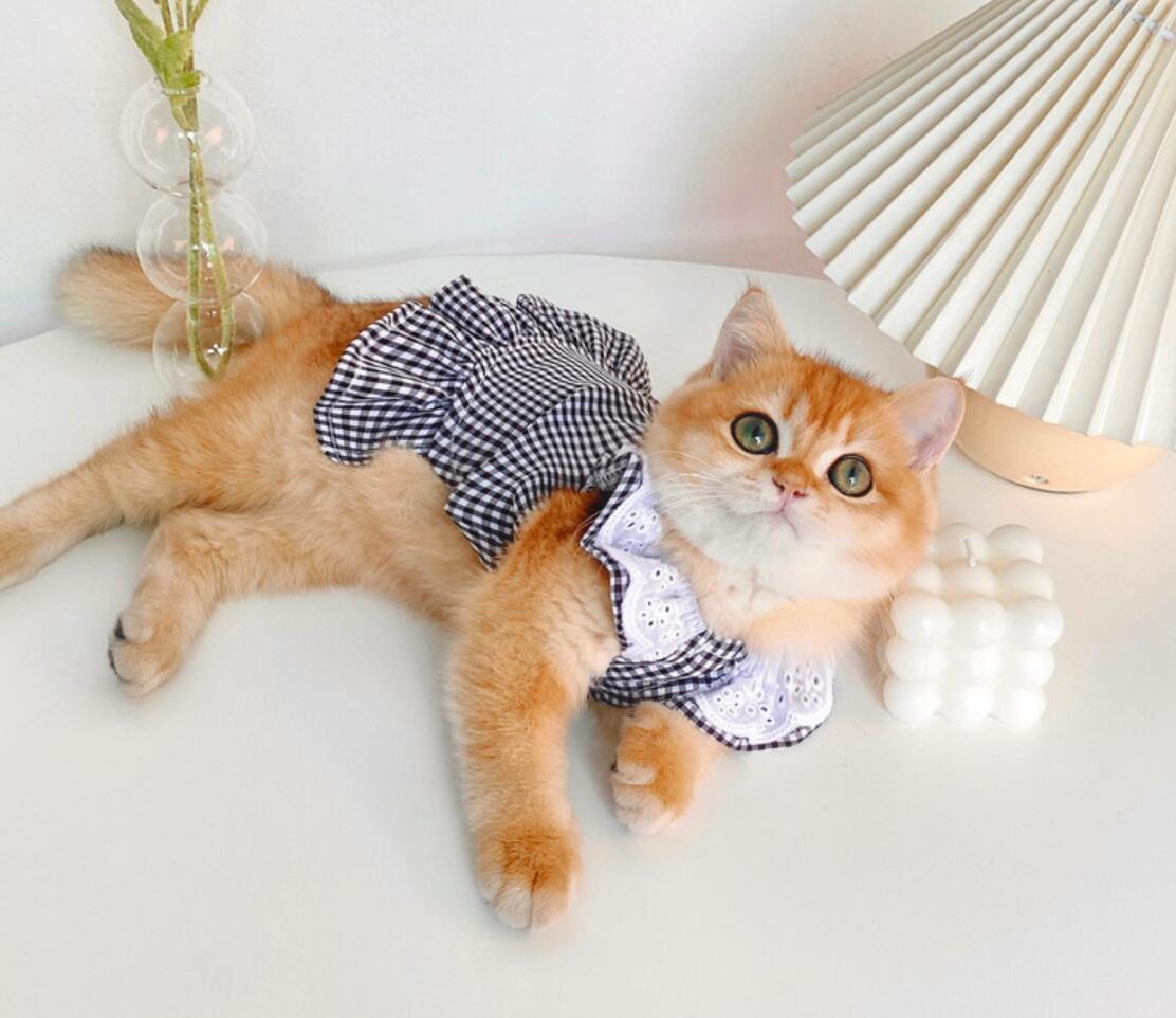 T-shirt respirant pour chats, vêtements mignons pour animaux de compagnie, Costume à la pour chien et chat