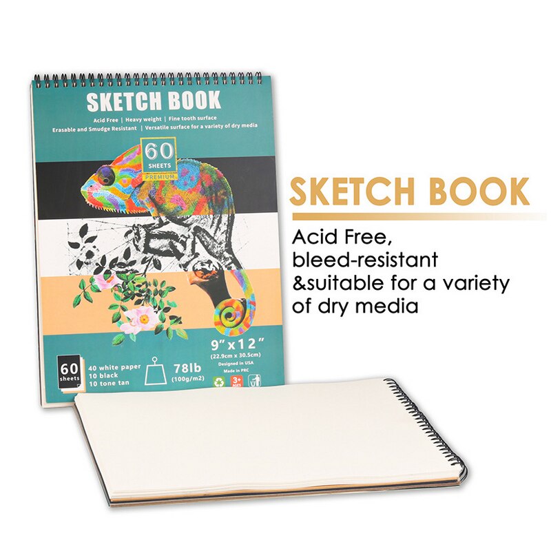 33/50-Piece Drawing &amp; Sketching Art Set - Ultimate Complete Artist Kit, Graphite and Charcoal Pencils &amp; Sticks, Pastels, Erasers: Picture book