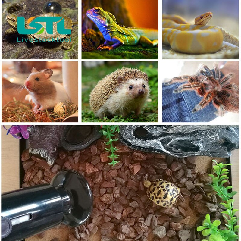 2 sztuk zwierzę domowe gadów ogrzewanie żarówka podczerwieni ceramiczne emiter lampy grzewcze zwierzęta domowe są nasiadka gad lampa 220 V-240 V