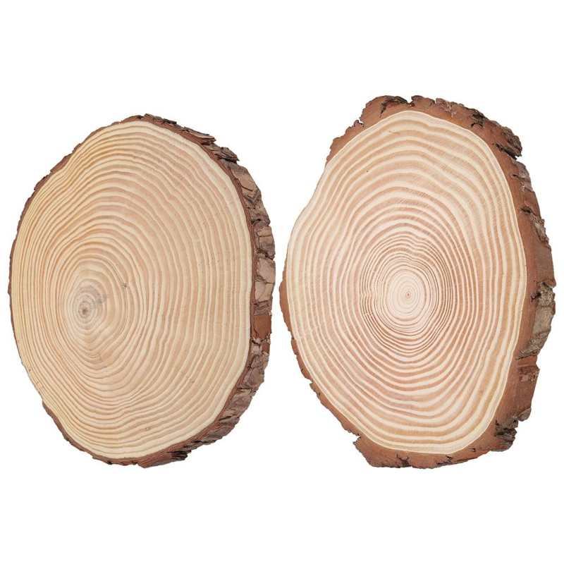 Hout Plakjes Met Schors Natuurlijke Hout Plakjes Unfinished Hout Cirkels Ornamenten Onregelmatige Hout Plakjes Met Schors Hout Cirkels