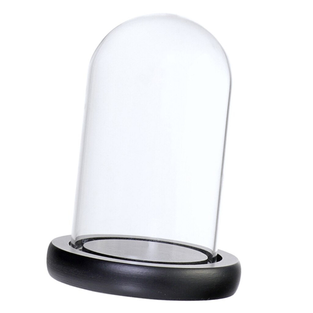 Glass Display Dome Cloche Bell Jar With Wooden Base for DIY Decoration PICK