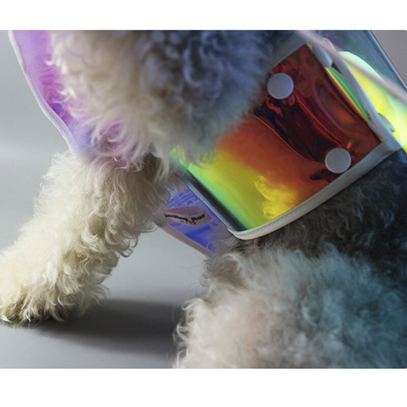 Kolorowy płaszcz przeciwdeszczowy dla psów wodoodporny płaszcz przeciwdeszczowy z kapturem oddychający wiatroszczelny przezroczysty ponczo przeciwdeszczowe dla małych średnich psów chihuahua L