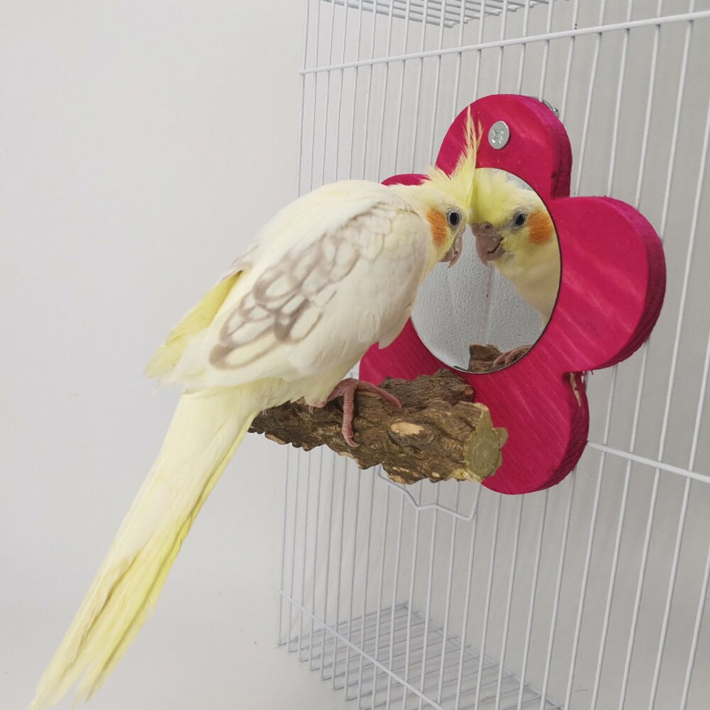 Vogel Spiegel Creatieve Bloemvorm Acryl Papegaai Spiegel Vogelkooi Speelgoed Houten Huisdier Speelgoed Voor Papegaaien Kleine Vogels Klim Accessoires