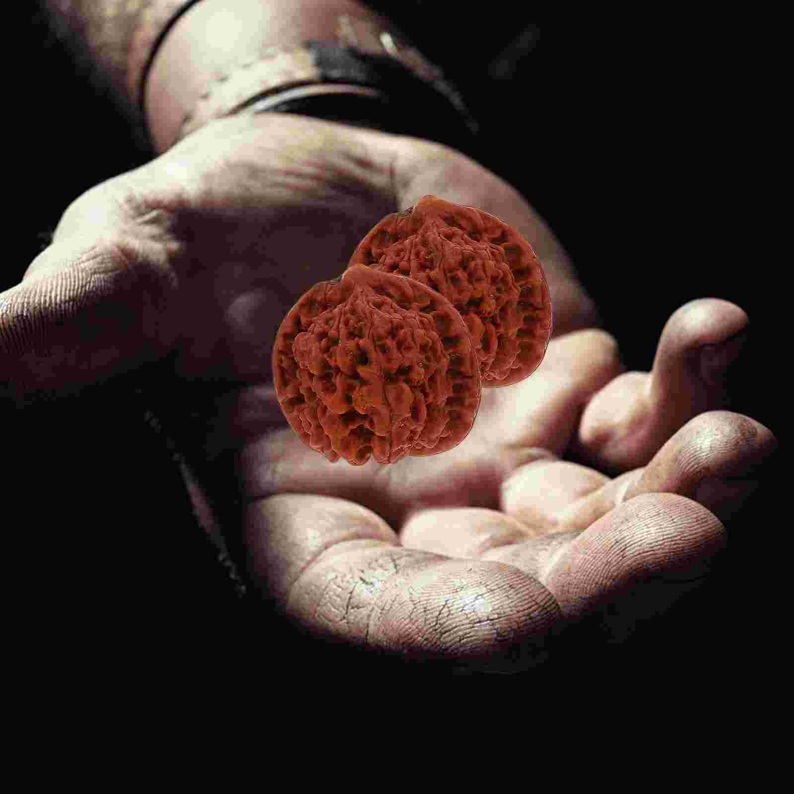 2Pcs Walnoot Ballen Handbal Training Wilde Walnoot Gezondheid Playthings