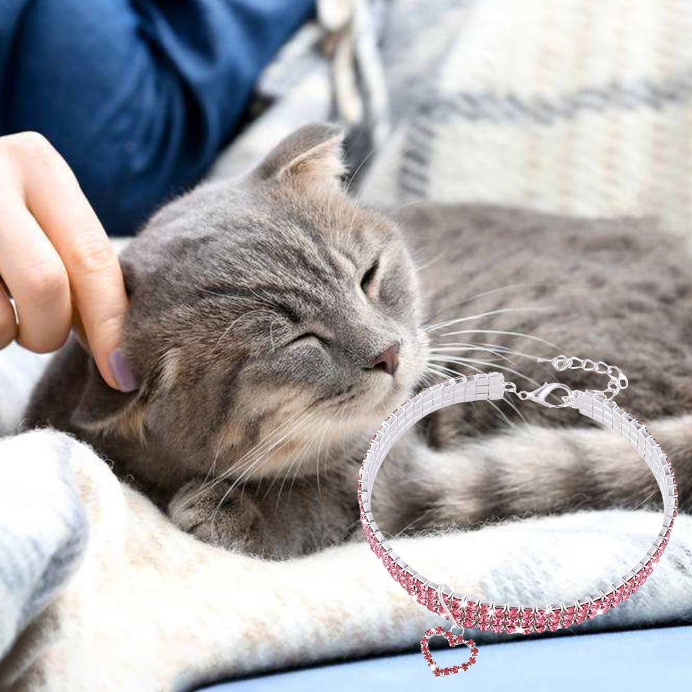 Halskjede til liten hund jente wakeu rhinestone bling krage med bein anheng katt krage