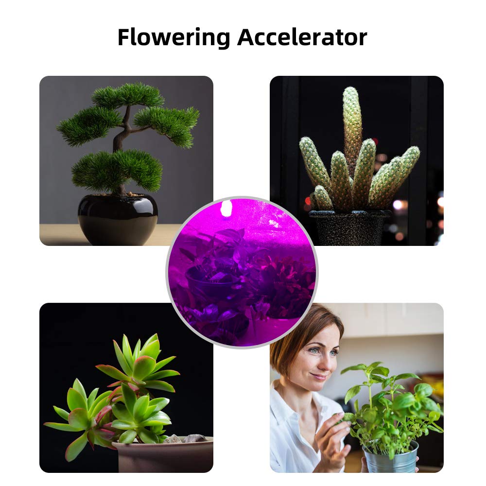 E27 E26 A60 LED Grow Lights Filament Bulb 8W Plant Growth Bulbs Bulb Lamp 110V 220V 240V Greenhouse Plant Flowering Cultivation